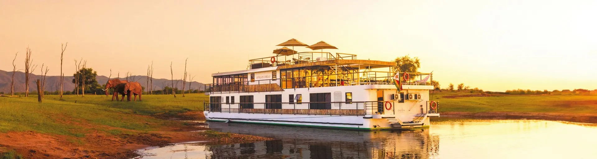 1920×512-10 1920x512 (10).webp