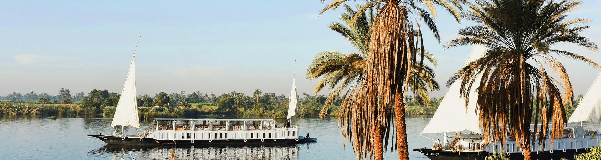 1920×512-12 1920x512 (12).webp