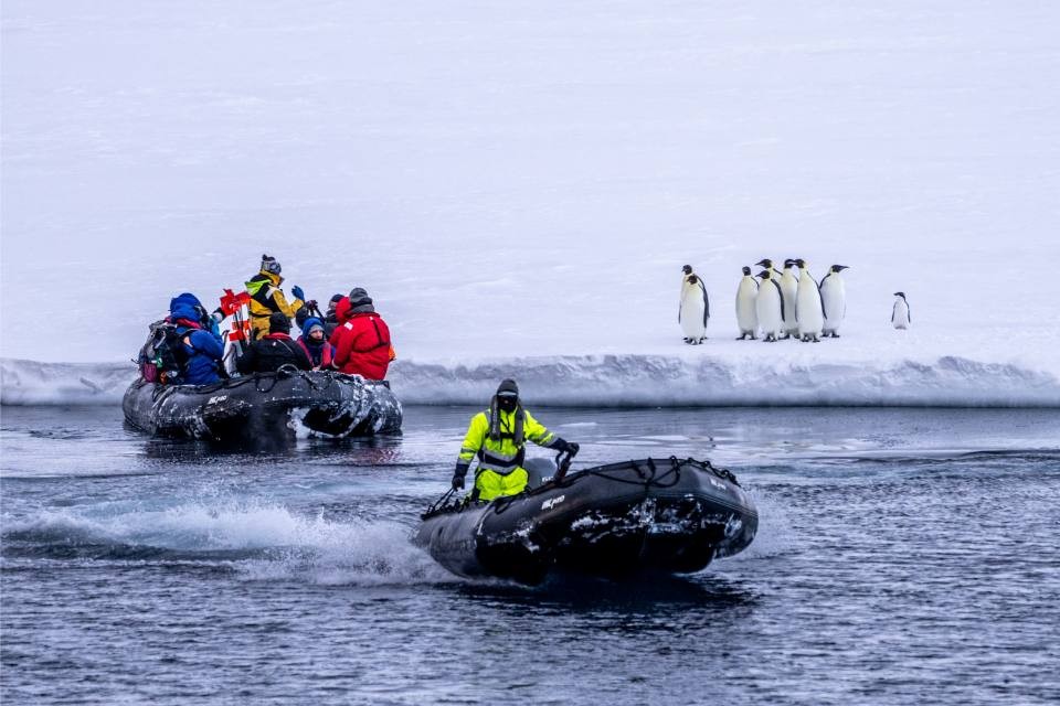 Antarctic Expedition Landing with Penguins Tourists in colorful expedition gear arrive by inflatable zodiac boats to observe a group of Emperor and Adelie penguins on an Antarctic ice shelf. The scene captures the excitement of polar wildlife viewing during an Antarctic cruise expedition, with visitors in bright yellow and red outfits contrasting against the pristine white ice and dark water.