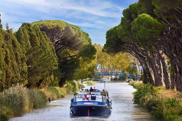 Barge on European Canal Through Tree Tunnel A blue and red commercial barge navigates through a scenic European canal lined with tall, manicured cypress and pine trees forming a natural tunnel, with historic architecture visible in the distance along the waterway.