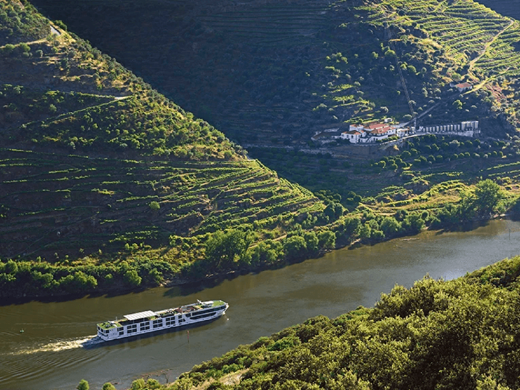 Douro River Cruise through Terraced Vineyards A modern river cruise ship navigating through the scenic, steep-sided Douro Valley in Portugal, surrounded by lush, terraced vineyards and a small riverside facility.