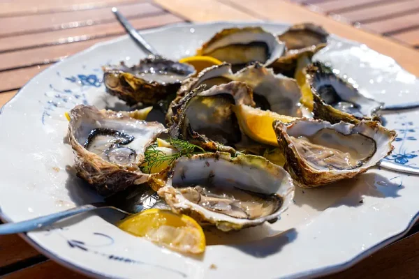 Fresh Oysters with Lemon Garnish A gourmet seafood plate featuring freshly shucked oysters served on a white decorative plate with lemon wedges and fresh herbs, presented as fine dining cuisine typical of upscale cruise ship restaurants or coastal port destinations.