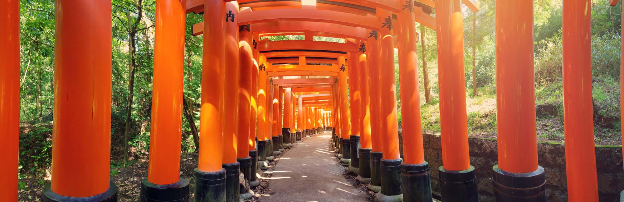 Fushimi Inari Shrine Torii Gates A stunning pathway lined with vibrant orange-red torii gates at the historic Fushimi Inari Shrine in Kyoto, Japan. The gates create a mesmerizing tunnel-like corridor through a forested landscape.