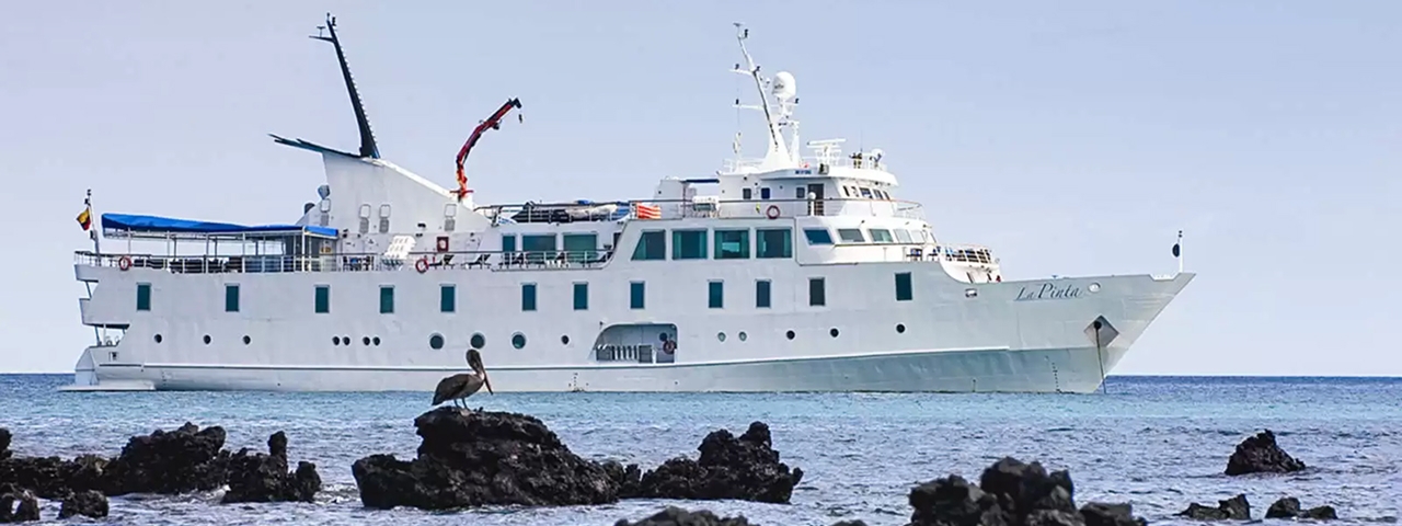 A white expedition cruise ship named La Pinta is anchored in clear blue waters near volcanic rock formations. A brown pelican perches on a rocky outcrop in the foreground, with the modern vessel visible in the background under clear skies.