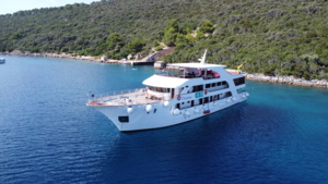 Luxury Cruise Ship in Mediterranean Cove A modern multi-deck cruise ship anchored in a pristine turquoise Mediterranean cove surrounded by lush green forested coastline. The vessel displays multiple passenger decks with a distinctive white hull and is positioned in shallow clear waters ideal for swimming and water activities.