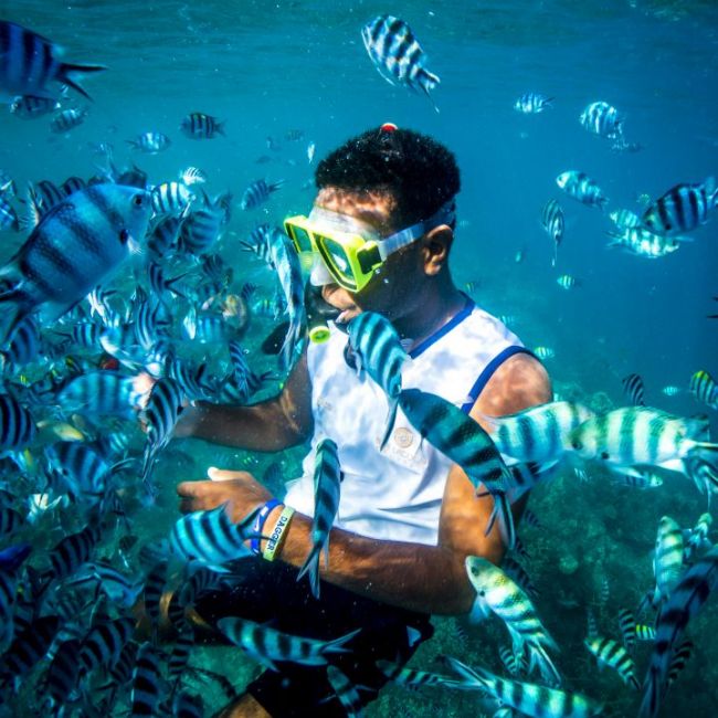 A snorkeler in vibrant yellow and lime green snorkeling gear is completely surrounded by a large school of blue and white striped tropical fish in crystal clear turquoise water, capturing an exciting underwater encounter typical of tropical cruise destinations.