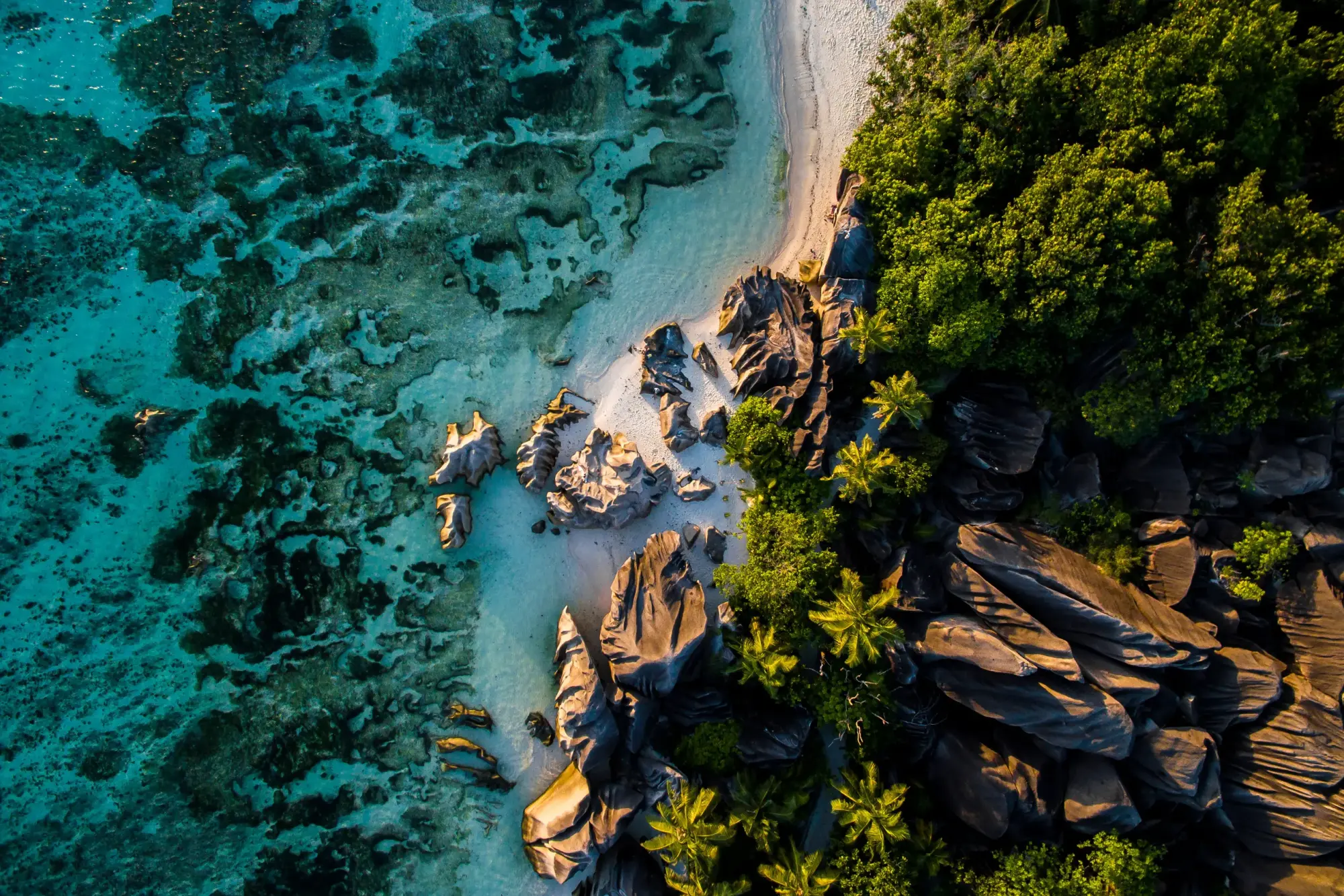 Tropical Beach Cove with Granite Boulders An aerial view of a pristine tropical beach featuring turquoise crystal-clear waters, white sand, and distinctive granite rock formations surrounded by lush green vegetation and palm trees. The image captures the dramatic contrast between the vibrant blue ocean, sandy shore, and dense tropical forest characteristic of premier beach destinations.