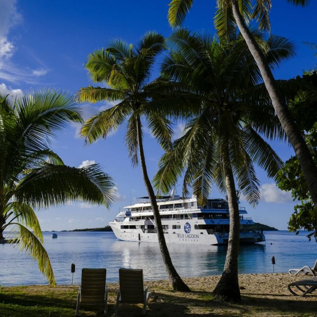 Tropical Beach Resort with Cruise Ship A serene tropical beach scene featuring palm trees framing a large cruise ship anchored in clear turquoise waters. Lounge chairs sit on the sandy shore under the swaying palms, offering an idyllic view of the vessel under bright blue skies with scattered clouds.
