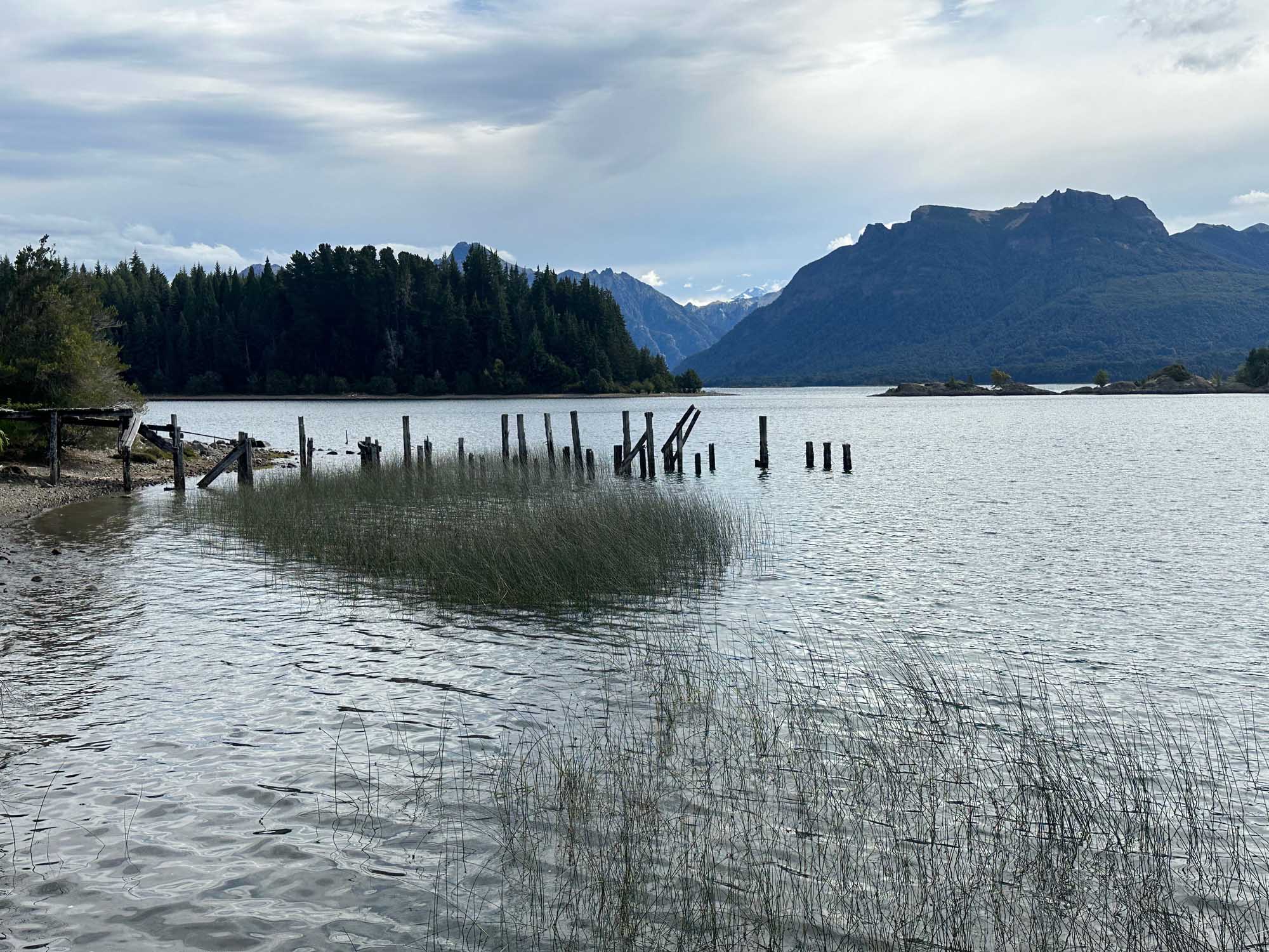 Alpine Lake with Mountain Backdrop and Historic Pier A serene alpine lake scene featuring weathered wooden pilings and native marsh grasses in the foreground, with snow-capped mountains and dense evergreen forests lining the distant shores under a partly cloudy sky. The landscape exemplifies the pristine natural beauty of Patagonian lake regions.