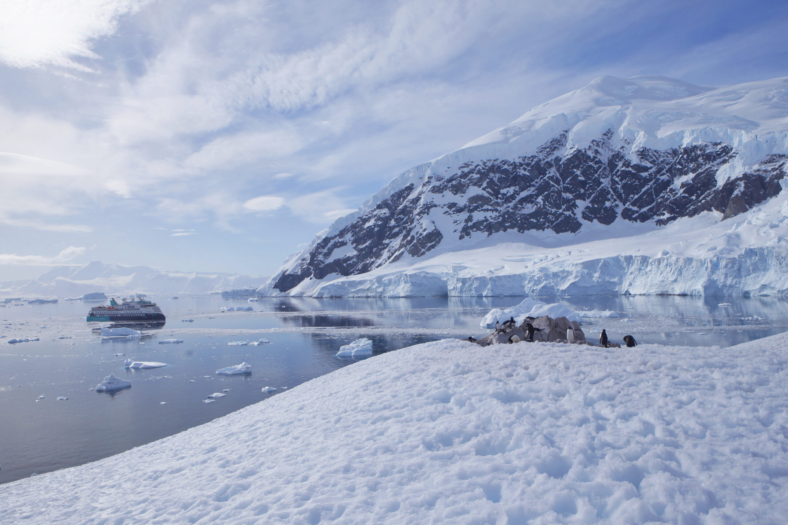 Chinstrap Penguins on Antarctic Ice A group of chinstrap penguins standing on snow-covered ice in Antarctica, with their distinctive black and white plumage and characteristic thin black line running under their chins clearly visible. The penguins appear curious and alert, with a blurred human observer visible in the background wearing a yellow jacket, suggesting this is from a polar expedition or cruise visit.