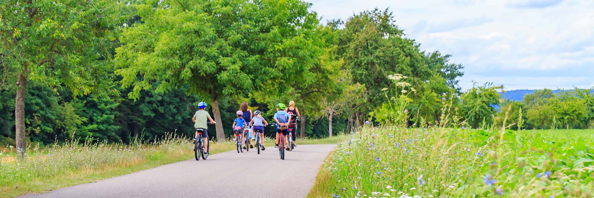 A group of cyclists, including children and adults, ride along a paved path lined with wildflowers and lush green trees. The scenic route features blooming purple flowers on the right side and distant forested hills, capturing a peaceful recreational cycling experience in a natural setting.