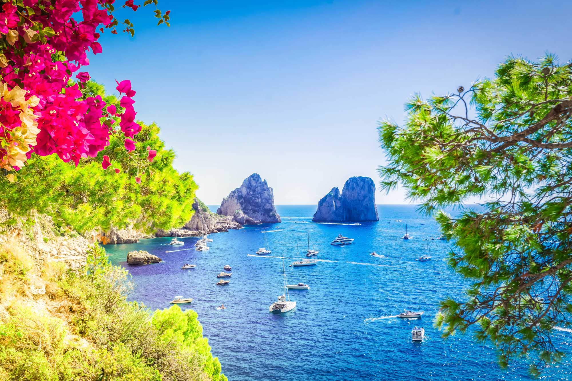 A stunning Mediterranean coastal scene featuring the iconic Faraglioni rock formations off Capri, Italy, framed by vibrant magenta bougainvillea flowers and lush green vegetation. Multiple sailboats anchor in the crystal-clear turquoise waters below the dramatic limestone cliffs under a brilliant blue sky.