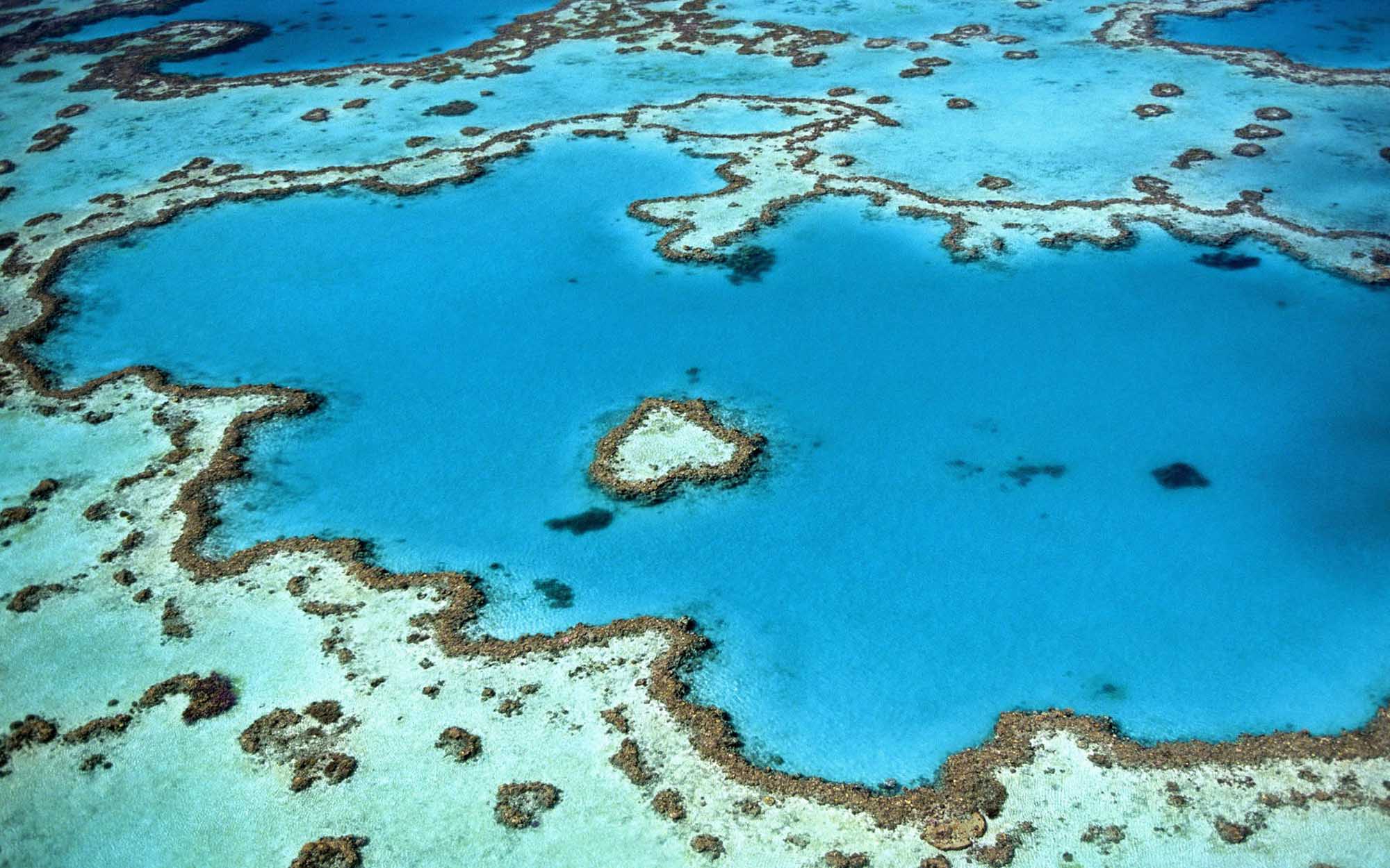 Great Barrier Reef Aerial View An aerial photograph showcasing the stunning turquoise waters and intricate coral formations of the Great Barrier Reef, with distinctive shallow lagoons separated by coral ridges and deeper blue channels characteristic of this World Heritage Site.