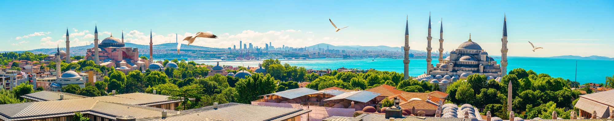 Istanbul Panorama with Blue Mosque and Hagia Sophia A sweeping panoramic view of Istanbul's historic skyline featuring the iconic Blue Mosque with its distinctive minarets and domes on the right, the Hagia Sophia on the left, and the Bosphorus strait with the Asian side visible across the water. The scene captures the city's rich architectural heritage against a clear blue sky with lush green vegetation in the foreground.