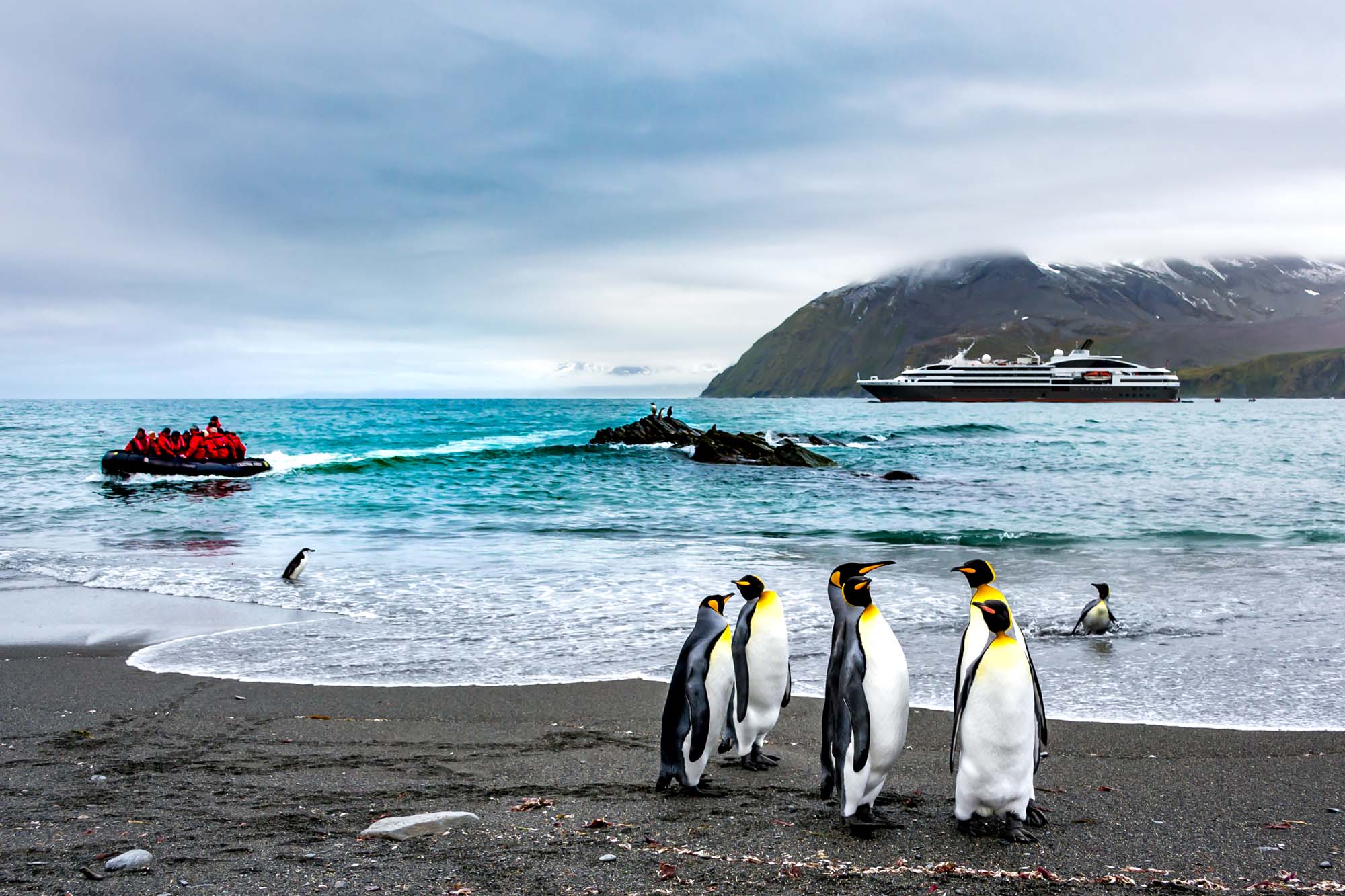 King Penguins with Cruise Ship at South Georgia A group of King Penguins stand on a black sand beach in South Georgia, with a large expedition cruise ship anchored in the turquoise waters behind them. Snow-capped mountains frame the scene, while zodiac boats with passengers explore the pristine Antarctic landscape.