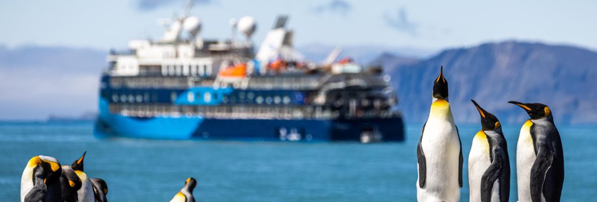 King Penguins with Cruise Ship at South Georgia A striking wildlife scene featuring a group of King Penguins in the foreground standing in shallow water, with a large blue and black cruise ship anchored in the turquoise waters behind them, set against snow-capped mountains typical of South Georgia's dramatic landscape.