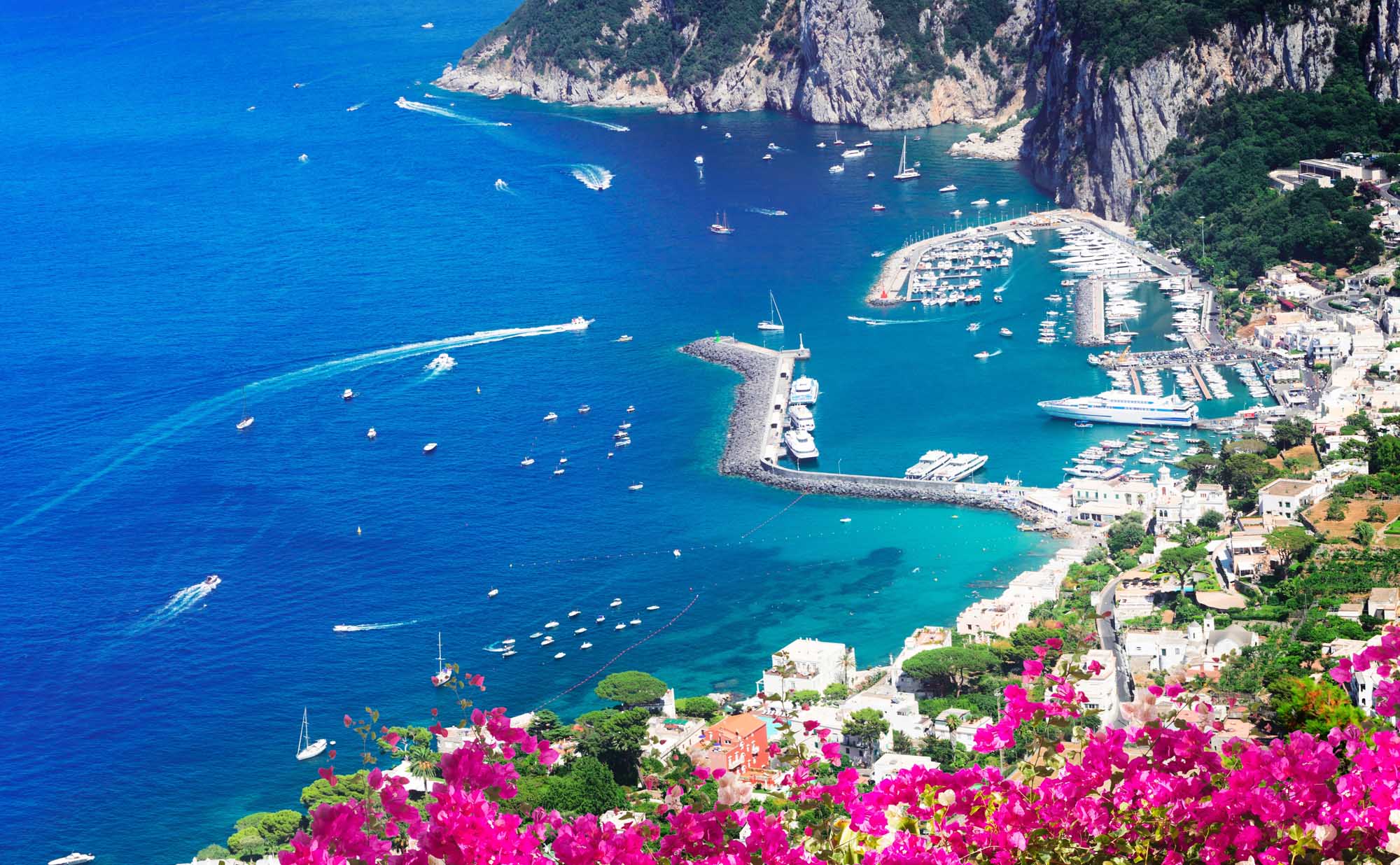 An aerial view of Marina Grande, Capri's main port, showcasing crystal-clear turquoise waters filled with moored boats, a protective breakwater with berthed vessels, dramatic limestone cliffs, whitewashed buildings cascading down the hillside, and vibrant magenta bougainvillea flowers in the foreground.