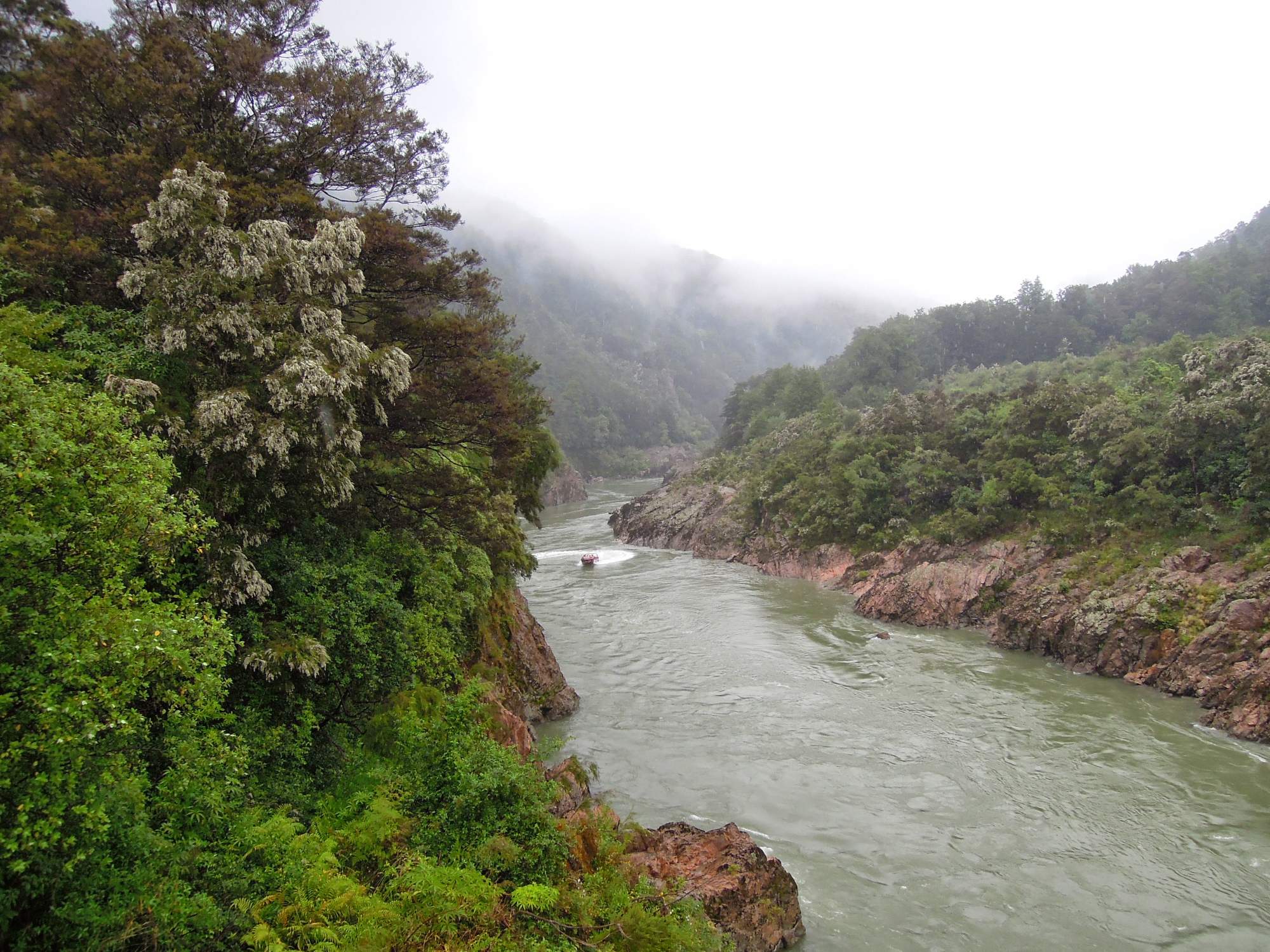 Misty River Canyon with Lush Vegetation A scenic river valley flows through a forested canyon with steep rocky cliffs on both sides, shrouded in mist and fog. A small boat navigates the murky green waters while dense vegetation clings to the cliff faces, creating a dramatic and atmospheric landscape.