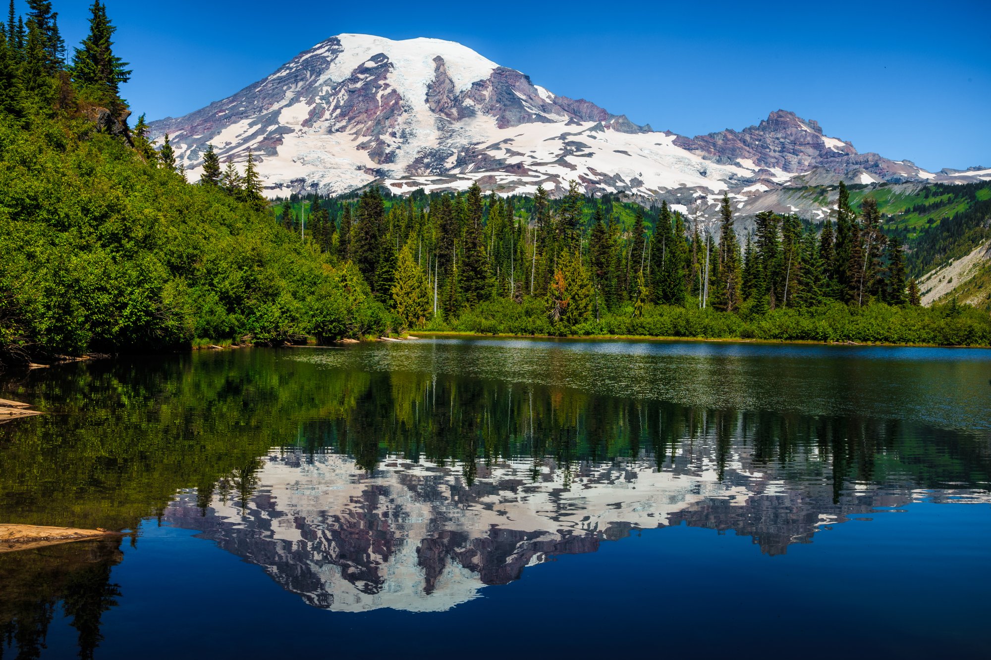 A stunning alpine landscape featuring Mount Rainier's snow-capped summit perfectly reflected in a pristine mountain lake, surrounded by dense coniferous forest under clear blue skies. The scene captures the dramatic contrast between the glaciated peak, evergreen forests, and mirror-like water.