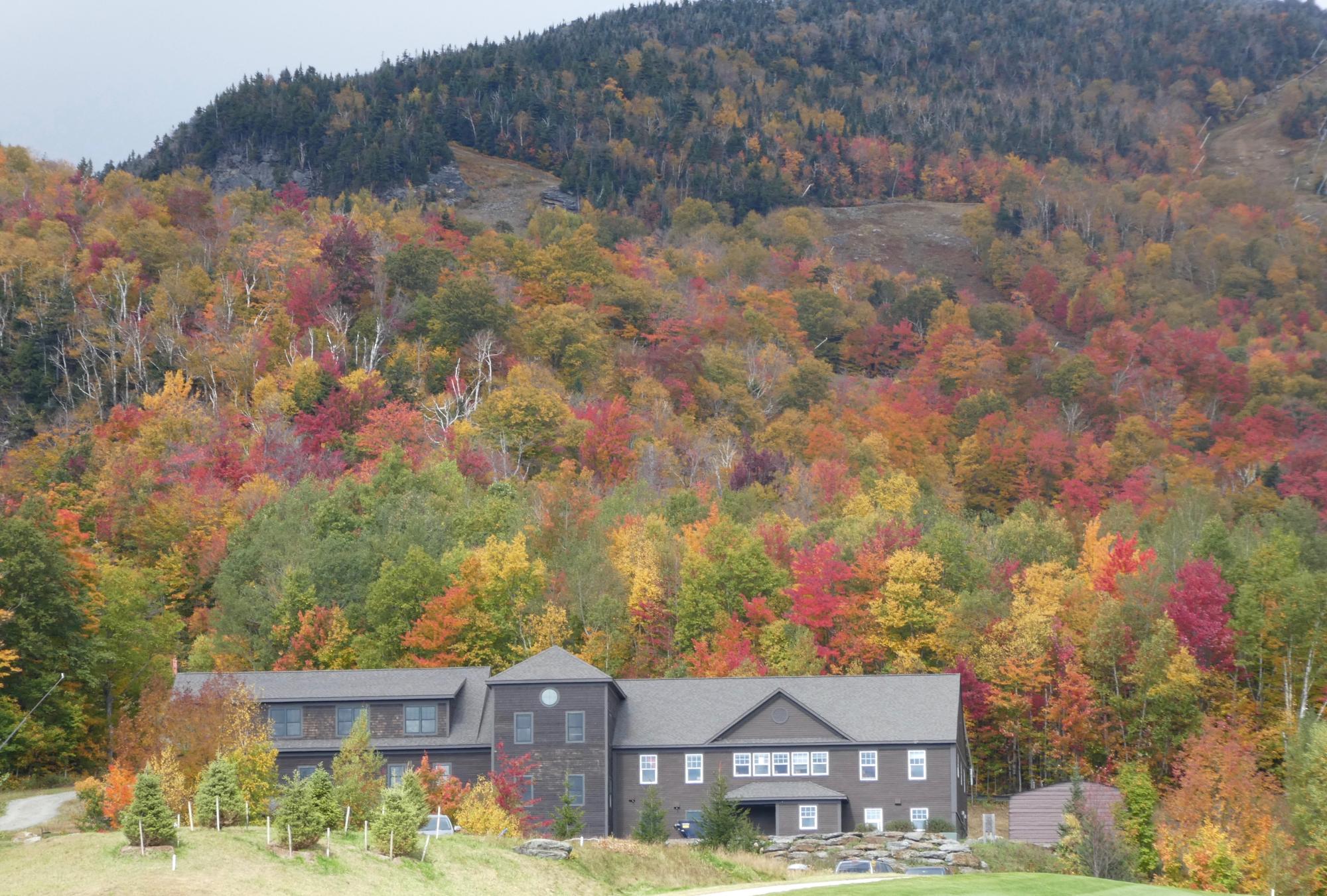 Mountain Estate in Autumn Foliage A modern dark-brown residential estate nestled at the base of forested mountains displaying vibrant fall foliage in shades of red, orange, yellow, and green. The property features contemporary architecture with multiple structures and sits amid landscaped grounds surrounded by dense deciduous and coniferous forests at peak autumn color.