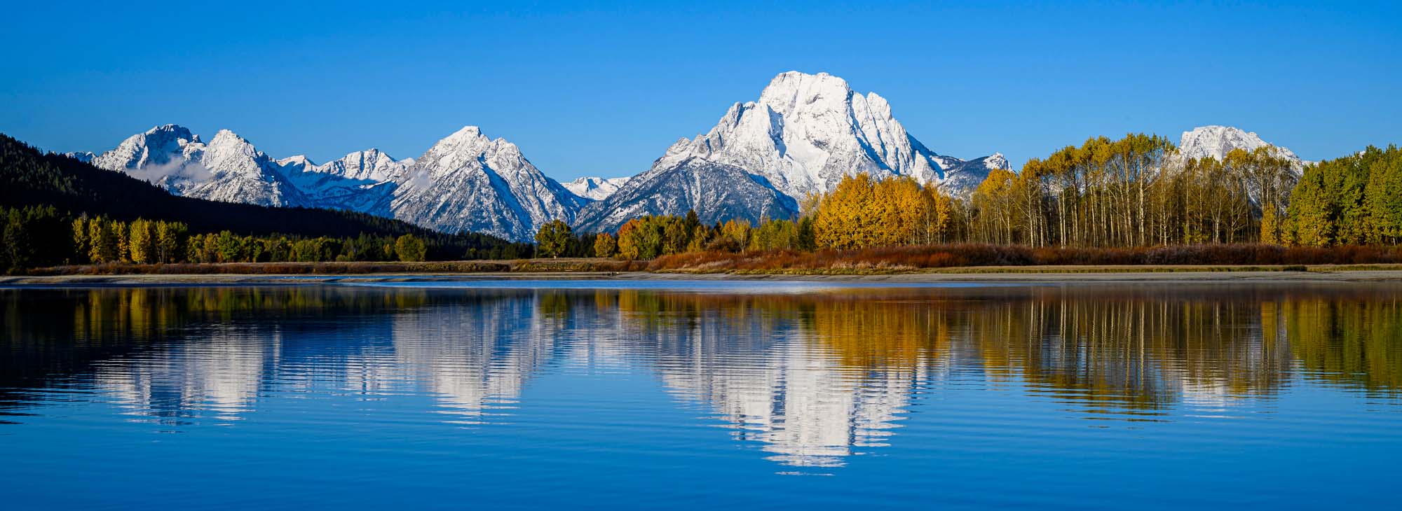 Oxbow Bend Mountain Lake Reflection A stunning panoramic view of Oxbow Bend in Grand Teton National Park, featuring snow-capped mountain peaks reflected in the pristine calm waters of the Snake River, with golden autumn aspen trees and evergreen forests lining the shoreline under a clear blue sky.