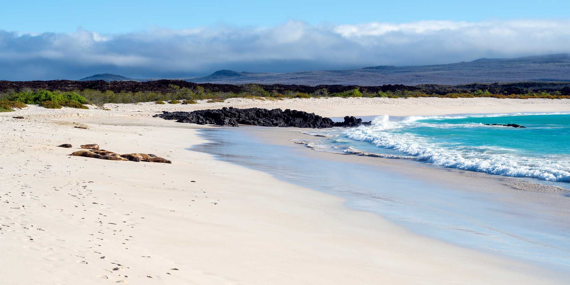 Playa Cerro Brujo Beach with Galápagos Sea Lions A pristine white sand beach on San Cristóbal Island features resting Galápagos sea lions on the shore, with turquoise waters, rolling waves, and volcanic terrain visible in the background under a partly cloudy sky.