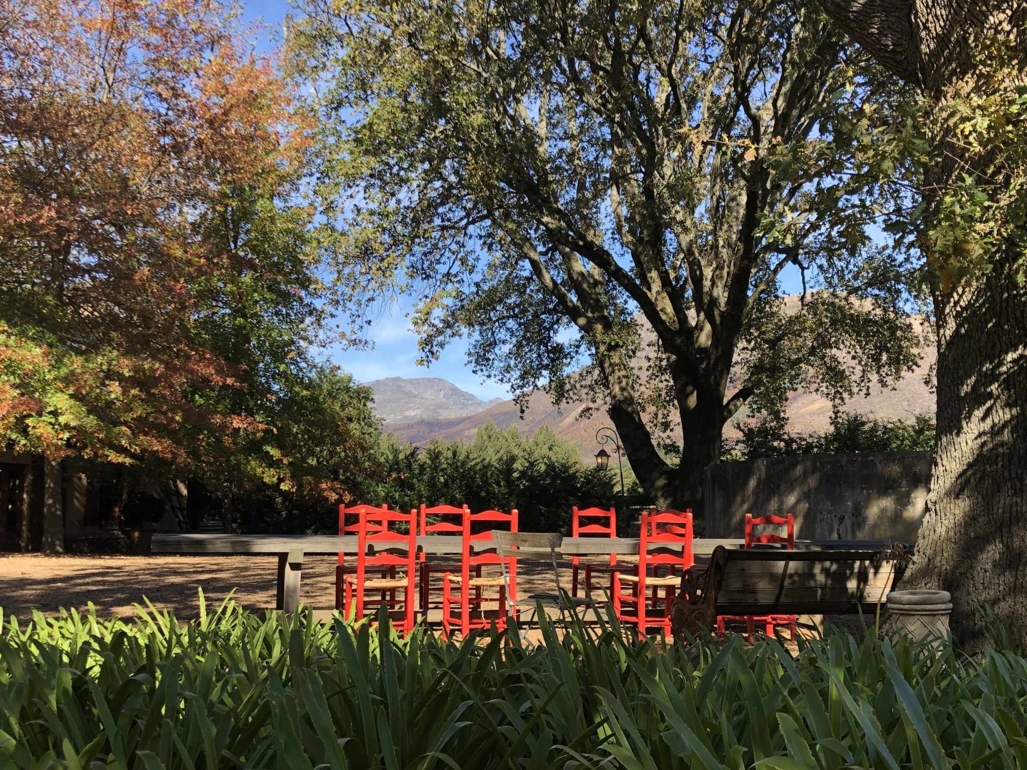 Red Chairs in Mountain Valley Garden A charming outdoor courtyard or garden space featuring bright red traditional-style chairs arranged in a gathering area, framed by mature trees and overlooking a picturesque mountain valley landscape with autumn foliage visible in the background.