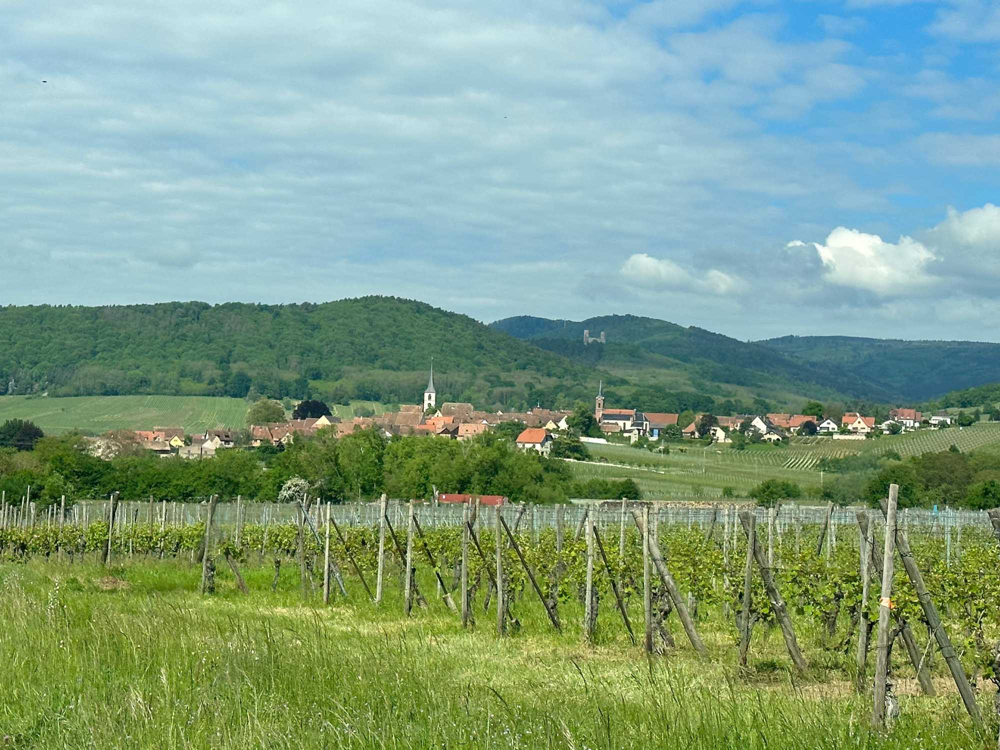 Rhine Valley Vineyard Village Landscape A scenic view of a traditional German wine village nestled in a verdant valley, with distinctive church spires rising above terracotta-roofed houses, surrounded by terraced vineyards on rolling hills under a partly cloudy sky. The landscape exemplifies the picturesque Rhine Valley region, a UNESCO World Heritage site renowned for its wine production and medieval architecture.