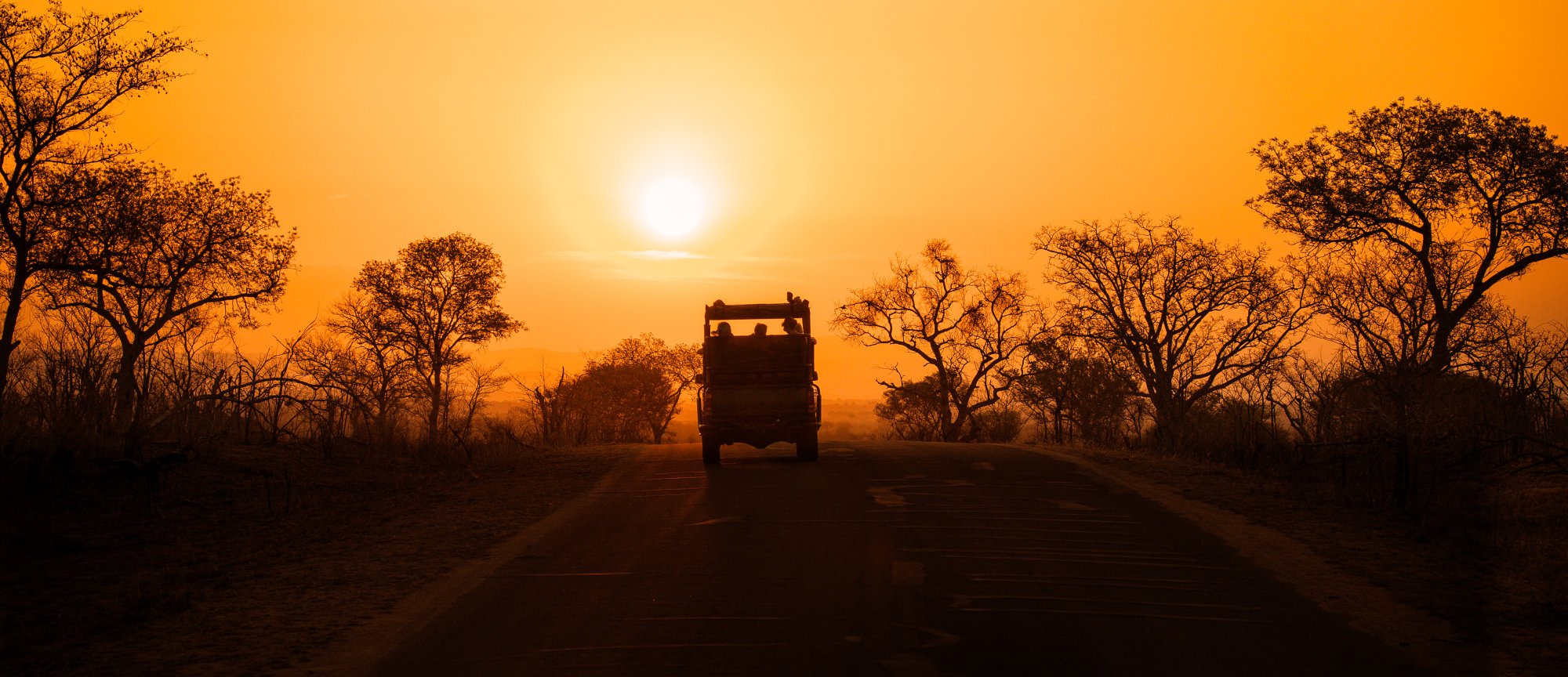 Safari Vehicle on African Savanna at Sunrise A silhouetted safari truck travels along a dusty road through an expansive African savanna landscape during golden sunrise, surrounded by sparse acacia trees and dry vegetation typical of sub-Saharan Africa.
