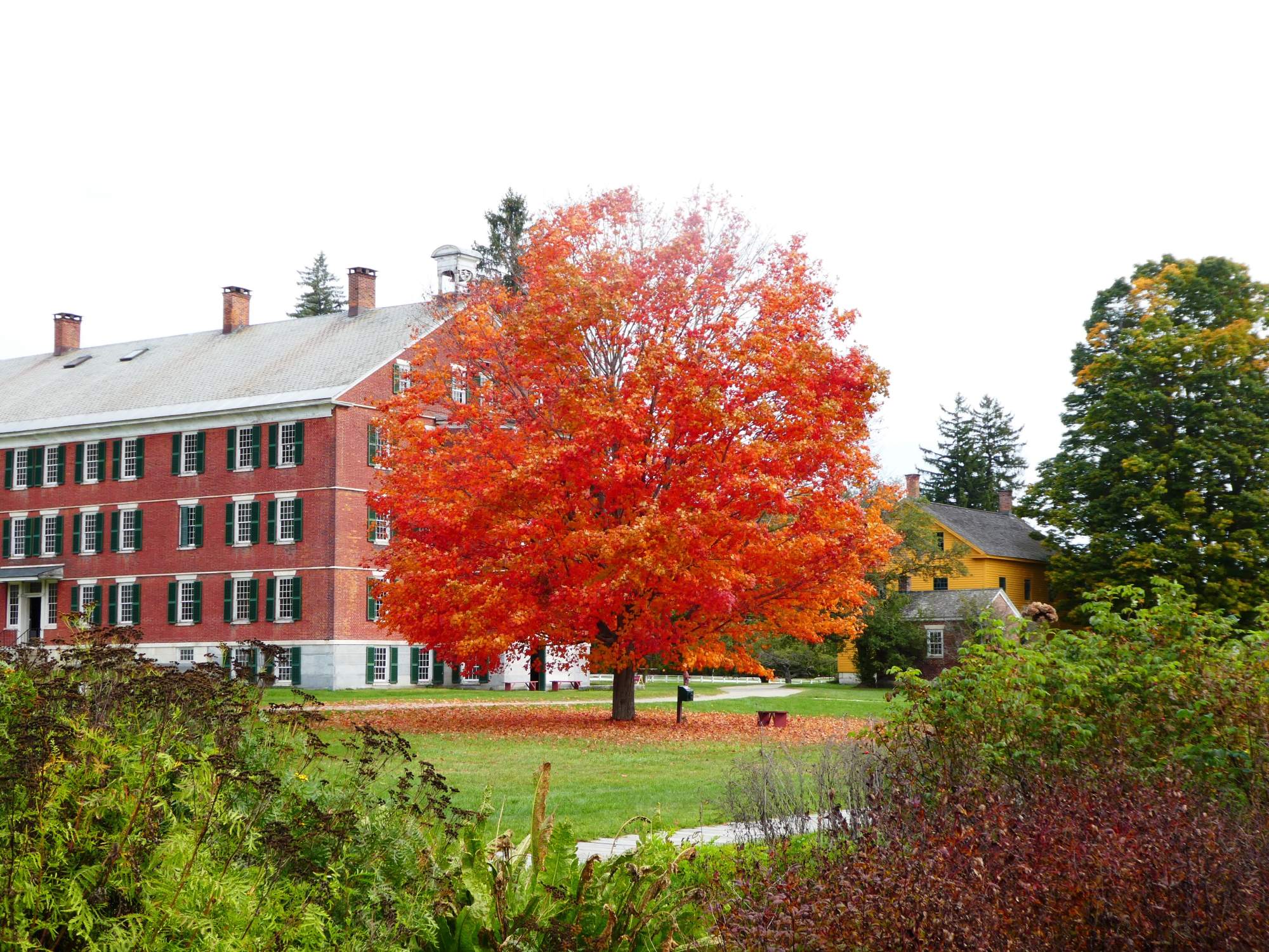 Autumn Waterfront Park with Sailboats A scenic autumn waterfront scene featuring vibrant fall foliage in red and orange tones, a tree-lined promenade with fallen leaves, sailboats moored along a decorative railing, and a modern city skyline in the background under clear blue skies.