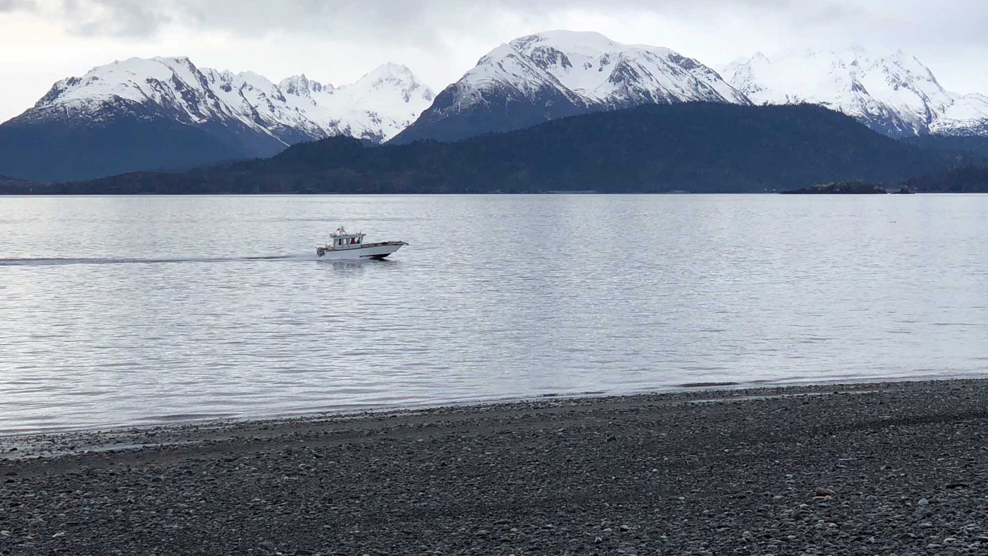 Snow-Capped Mountains and Boat in Patagonian Lake A serene Patagonian landscape featuring a small fishing or tour boat anchored in calm waters with dramatic snow-covered mountain peaks rising in the background, forested foothills, and a pebbly beach in the foreground.
