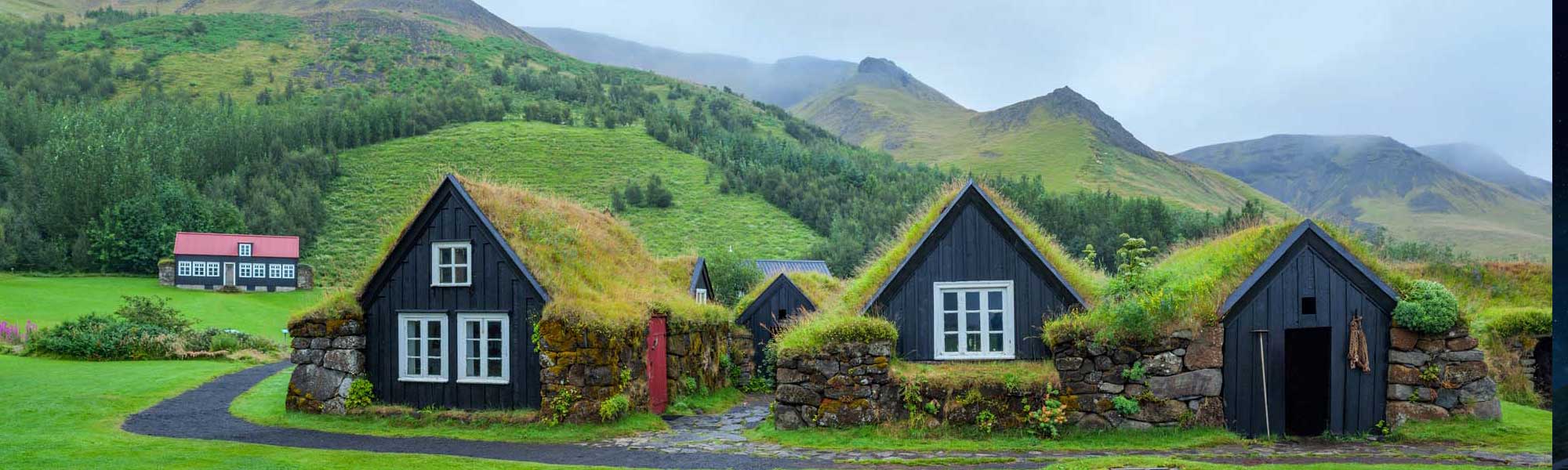 A picturesque cluster of historic Icelandic turf-roofed houses (túrf) with distinctive black wooden walls, white-framed windows, and moss-covered sod roofs nestled in a verdant valley. Snow-capped mountains and coniferous forests frame this traditional settlement, showcasing the iconic architectural heritage of rural Iceland.