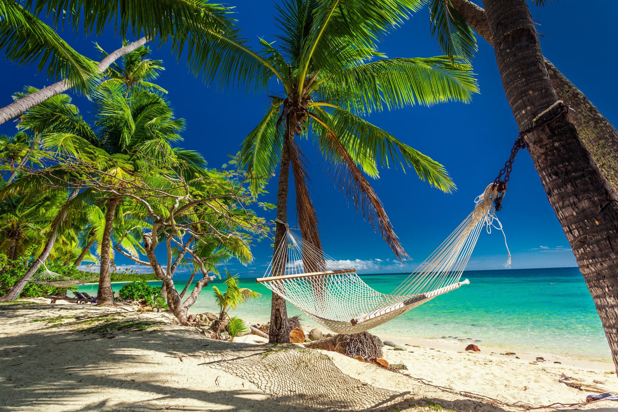 Tropical Beach Hammock with Palm Trees A serene tropical beach scene featuring a white mesh hammock suspended between two palm trees on pristine white sand, overlooking crystal-clear turquoise waters under a brilliant blue sky. The idyllic setting captures the essence of a perfect island paradise vacation destination.