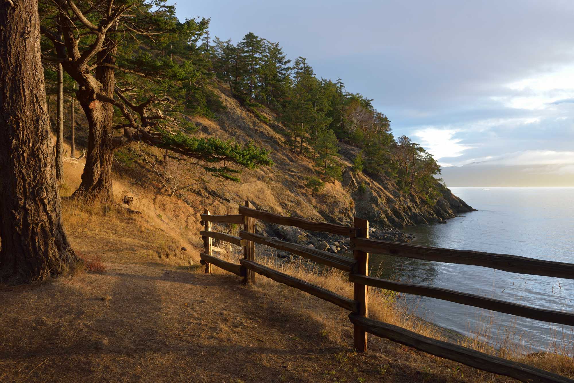 Wooden Fence at East Cove Cliffside A rustic wooden fence overlooks a dramatic rocky coastline with coniferous forests clinging to steep cliffs above calm waters. The scene captures the rugged natural beauty of the San Juan Islands with warm golden light illuminating the landscape.